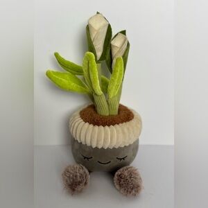 Greenhouse by Russ plush succulent plant